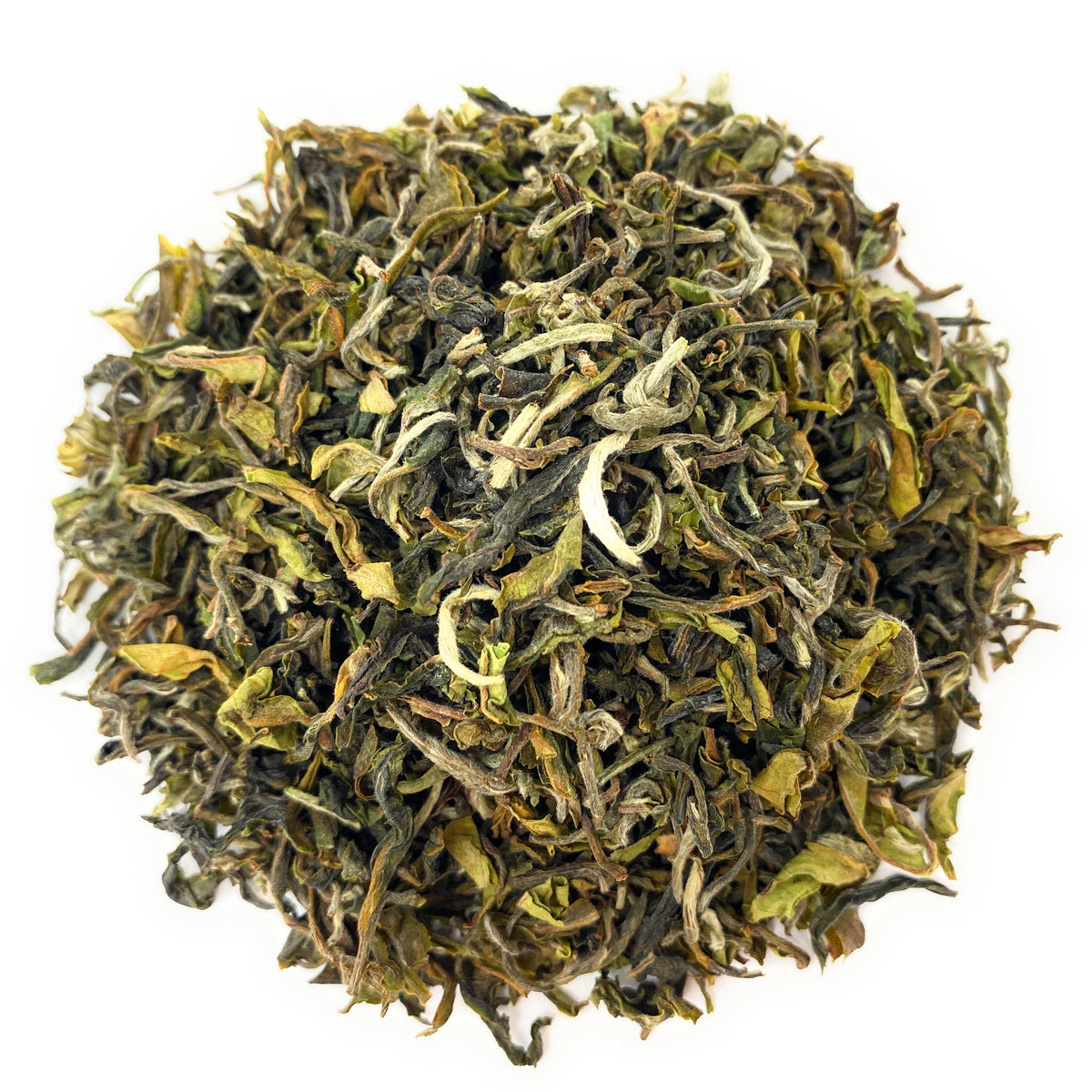 ダージリン ファーストフラッシュ 2025 プーグリ Darjeeling PHUGURI