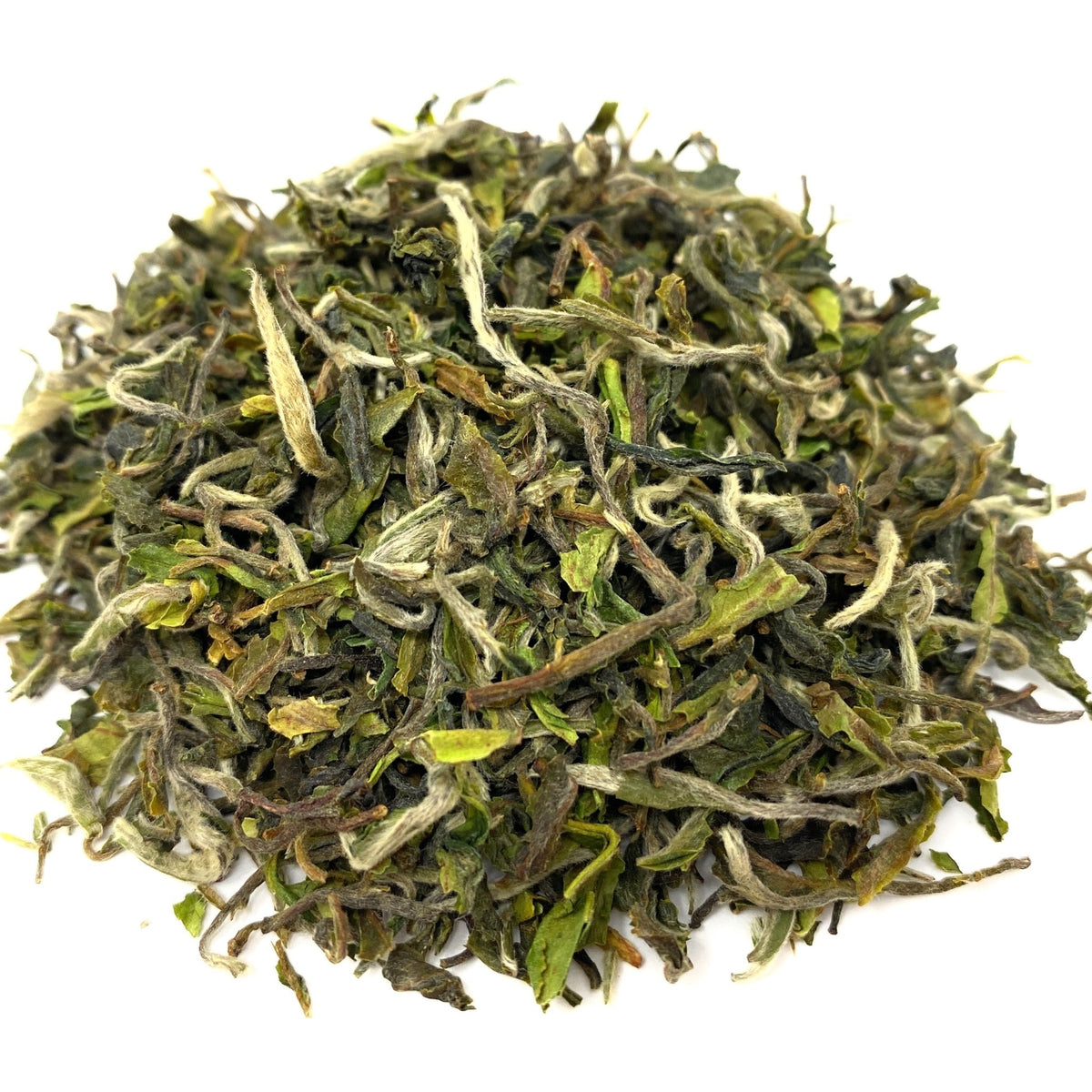 シェドゥーブル 紅茶 ダージリン ファーストフラッシュ 2025