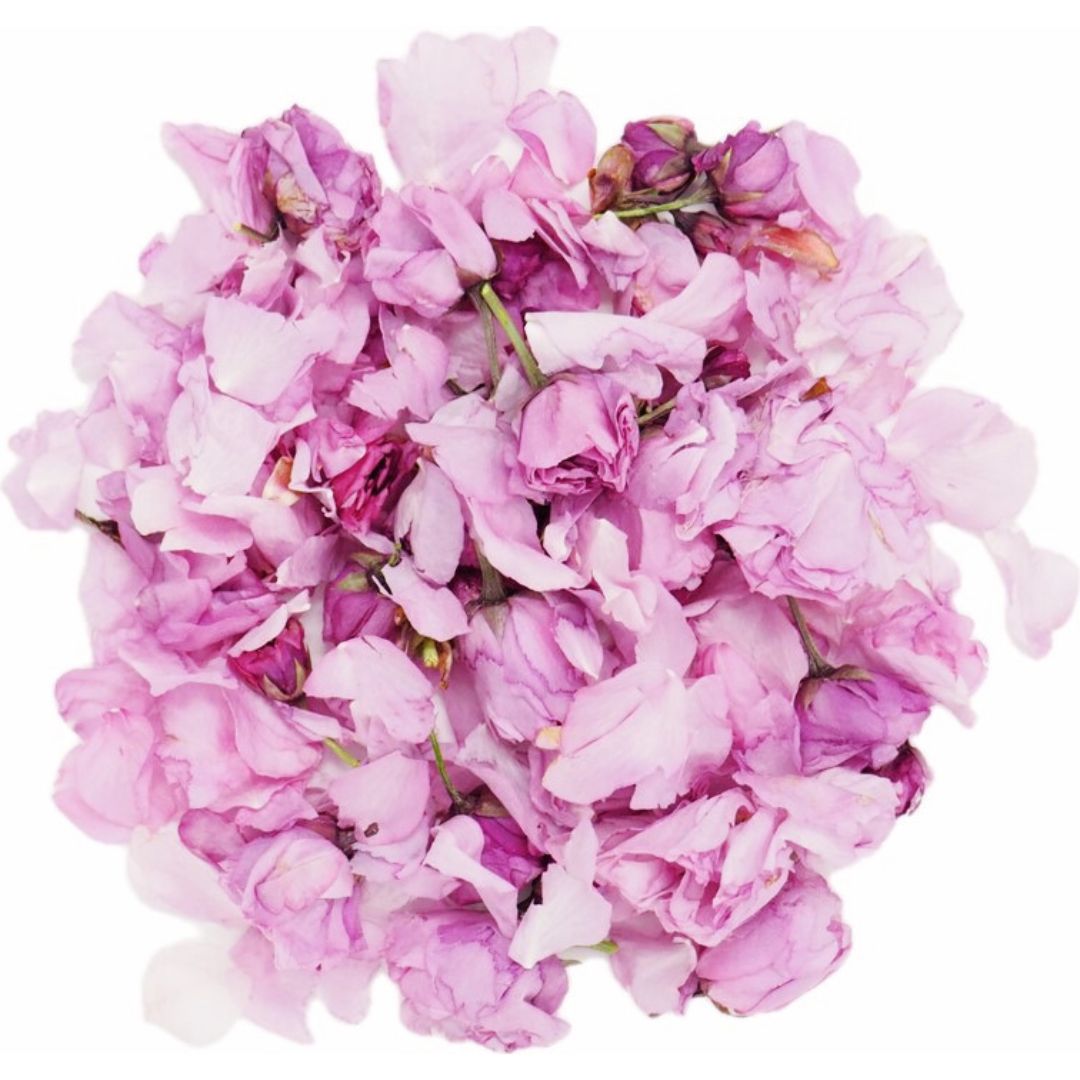 日本産桜花 | フリーズドライ 桜 | 桜ティー | 桜 食用 | Freeze-dried