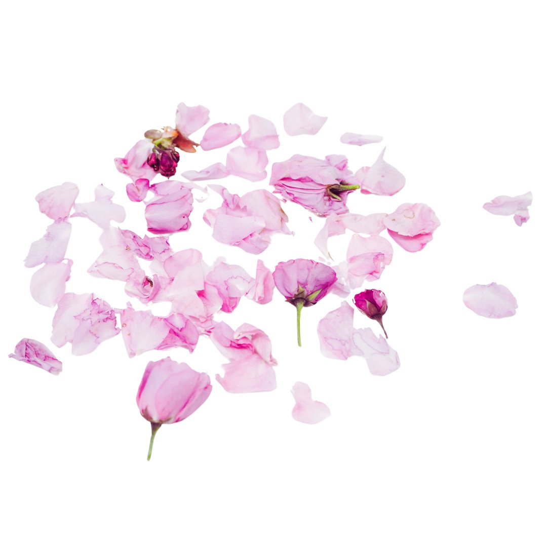 日本産フリーズドライ桜花 (無添加・天然) | 桜茶・ハーブティー・食用