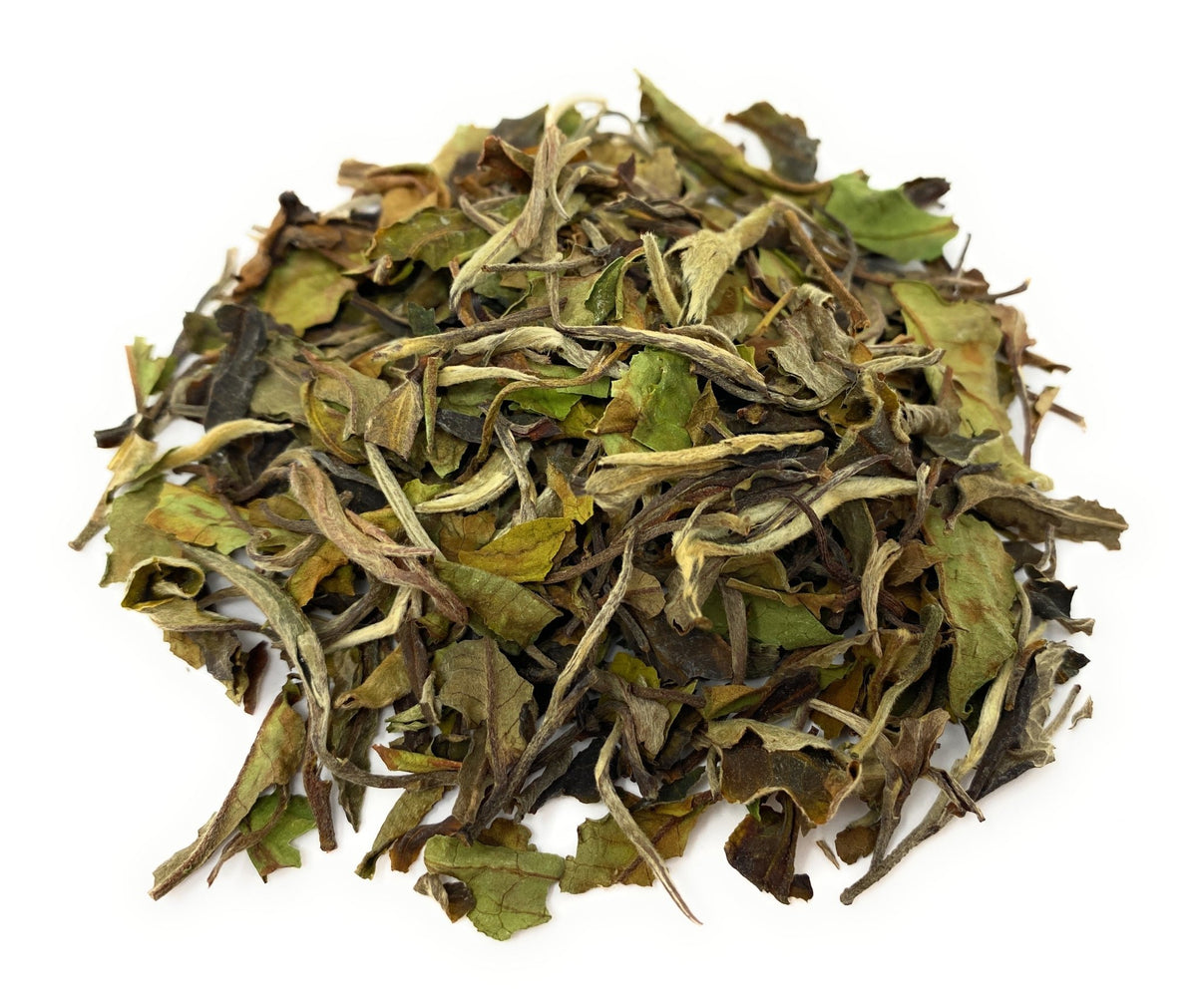 ホワイトティー アールグレイ | White Tea EARL GREY Pai Mu Tan