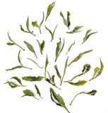 ダージリン ファーストフラッシュ アリヤ パール Darjeeling ARYA PEARL White Tea First Flush - シェドゥーブル