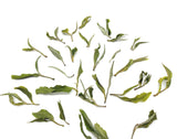 ダージリン ファーストフラッシュ アリヤ パール Darjeeling ARYA PEARL White Tea First Flush - シェドゥーブル