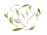 ダージリン ファーストフラッシュ ミム ホワイトティー Darjeeling MIM White Tea First Flush - シェドゥーブル