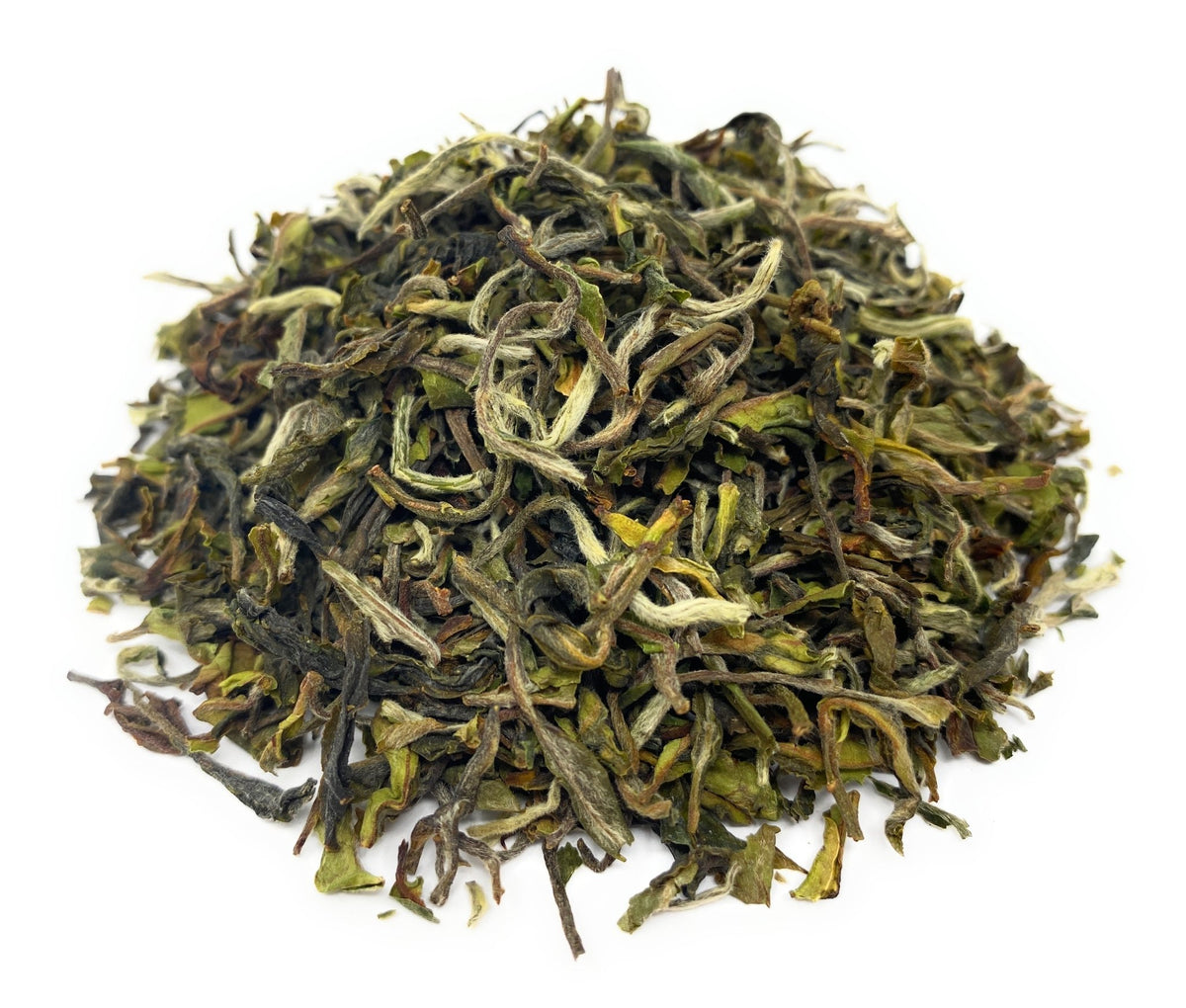 ダージリン ファーストフラッシュ 2025 プーグリ Darjeeling PHUGURI