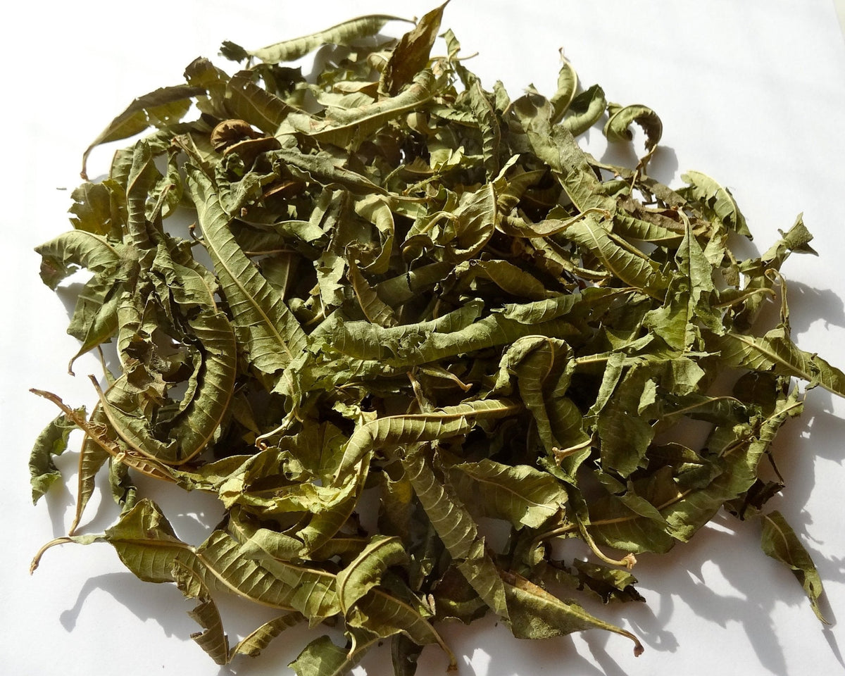ハーブティー ヴェルヴェーヌ | レモン ヴァーベナ | Herbal Tea