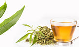 ハーブティー ヴェルヴェーヌ Herbal Infusion VERVEINE - シェドゥーブル