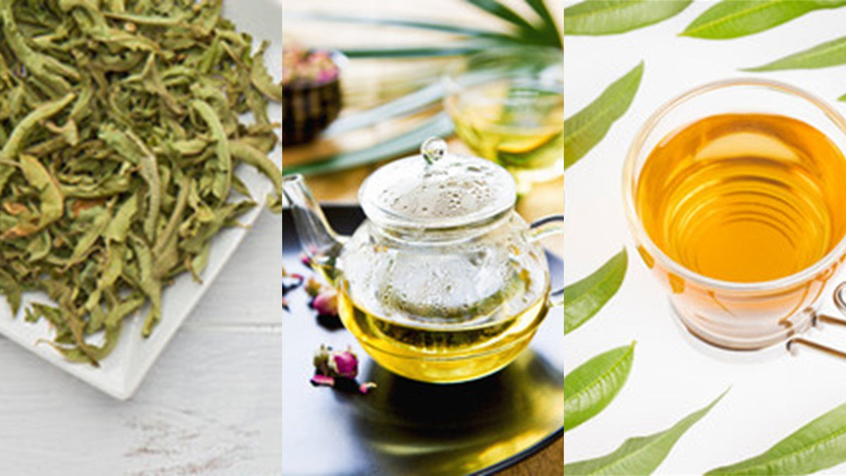 ハーブティー ヴェルヴェーヌ | レモン ヴァーベナ | Herbal Tea