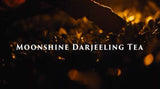 ダージリン ファーストフラッシュ リザヒル ムーンシャイン シンフォニー Darjeeling LIZA HILL MOONSHINE SYMPHONY First Flush - シェドゥーブル
